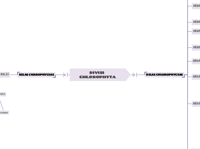 DIVISI CHLOROPHYTA