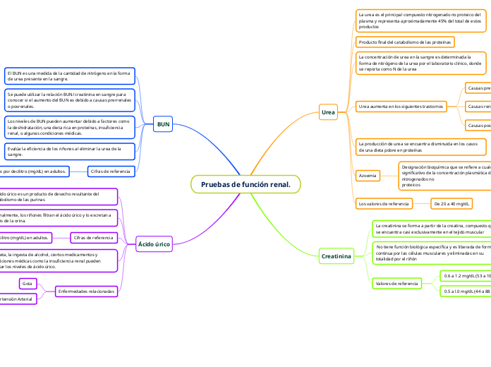 Pruebas de función renal.