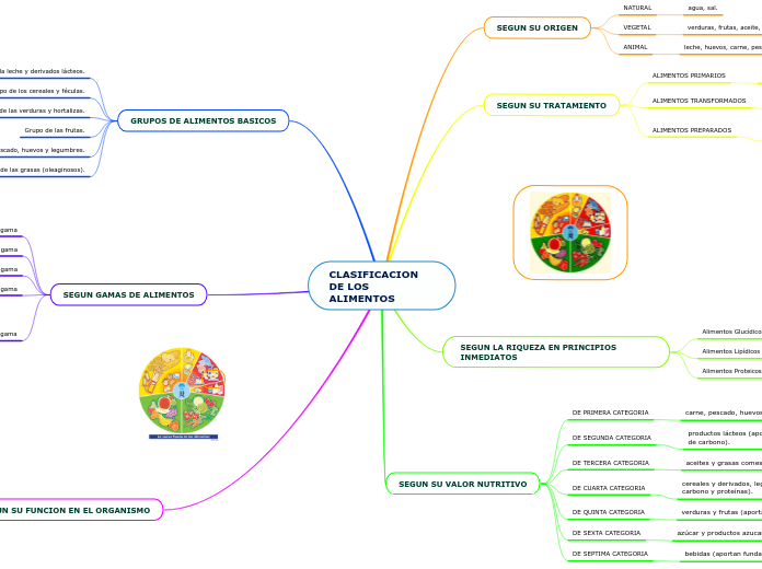 CLASIFICACION DE LOS ALIMENTOS