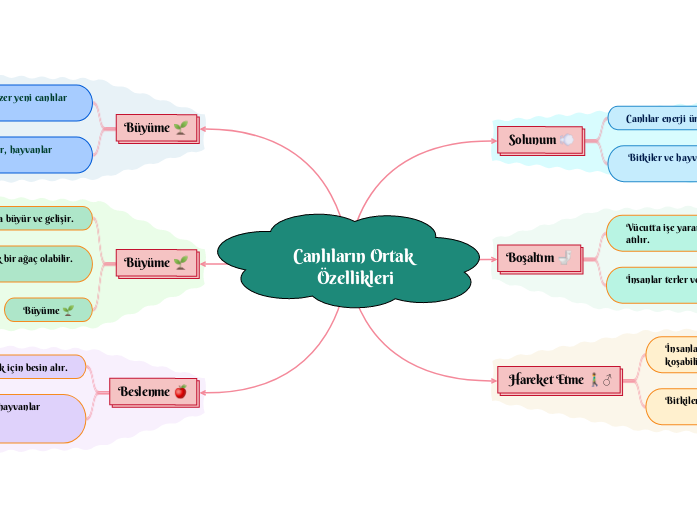 Canlıların Ortak Özellikleri