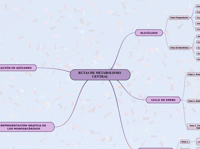 RUTAS DE METABOLISMO CENTRAL