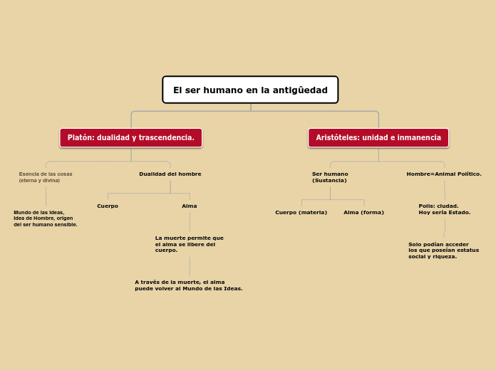 Organigrama arbol