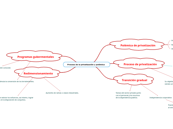 Proceso de la privatización y polémica 