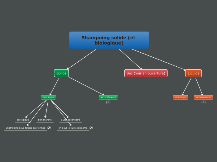 Shampoing solide (et biologique)