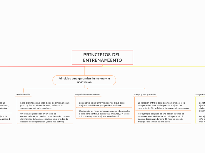 PRINCIPIOS DEL ENTRENAMIENTO