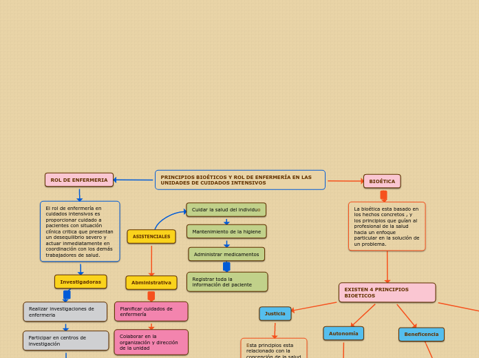 PRINCIPIOS BIOÉTICOS Y ROL DE ENFERMERÍA EN LAS UNIDADES DE CUIDADOS INTENSIVOS