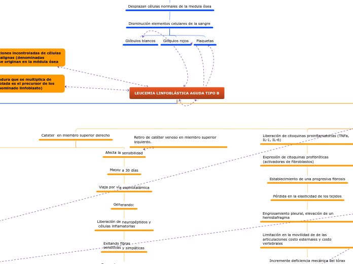 LEUCEMIA LINFOBLÁSTICA AGUDA TIPO B