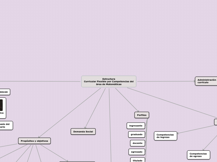 Estructura Curricular Flexible por Competencias del área de Matemáticas