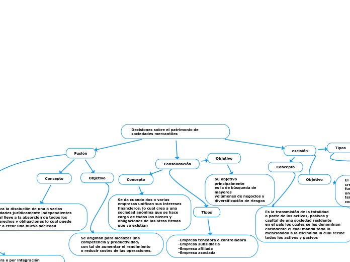 Decisiones sobre el patrimonio de sociedades mercantiles