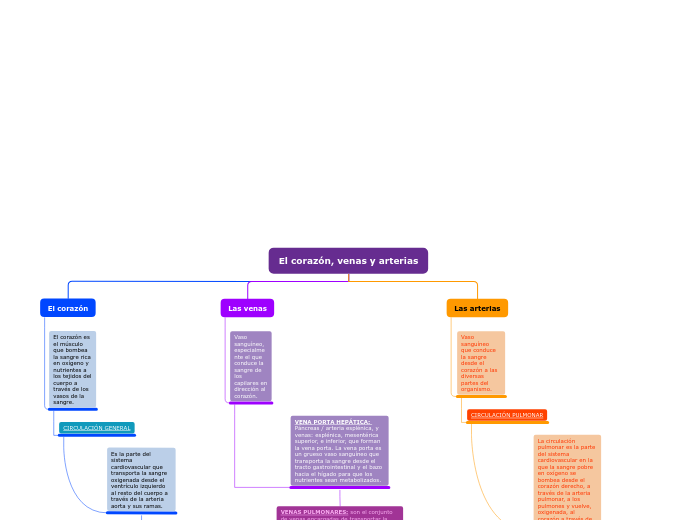 El corazon las venas y arterias