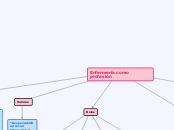 Enfermería como profesión
