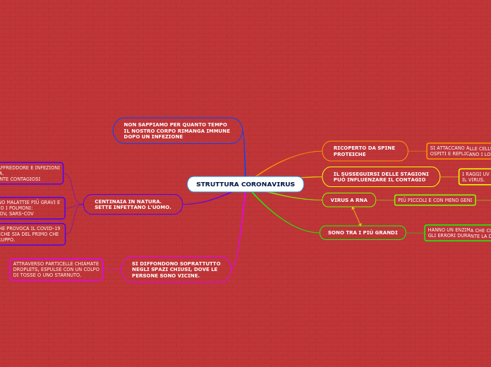 STRUTTURA CORONAVIRUS