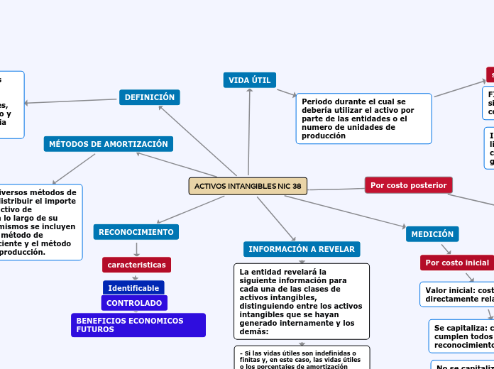 ACTIVOS INTANGIBLES NIC 38