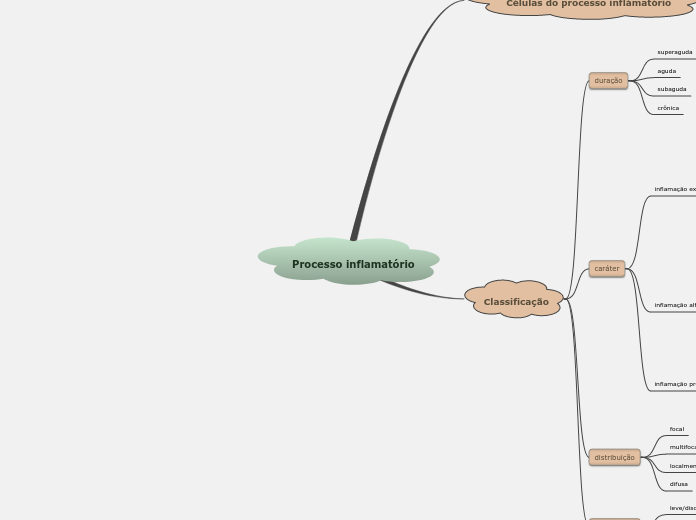 Processo inflamatório