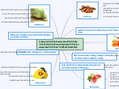 Nutrición y Toxicología