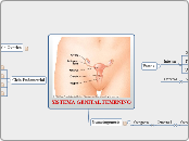 SISTEMA GENITAL FEMENINO