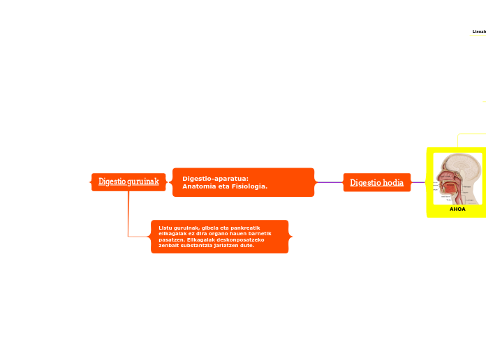 Digestio-aparatua:            Anatomia eta Fisiologia.