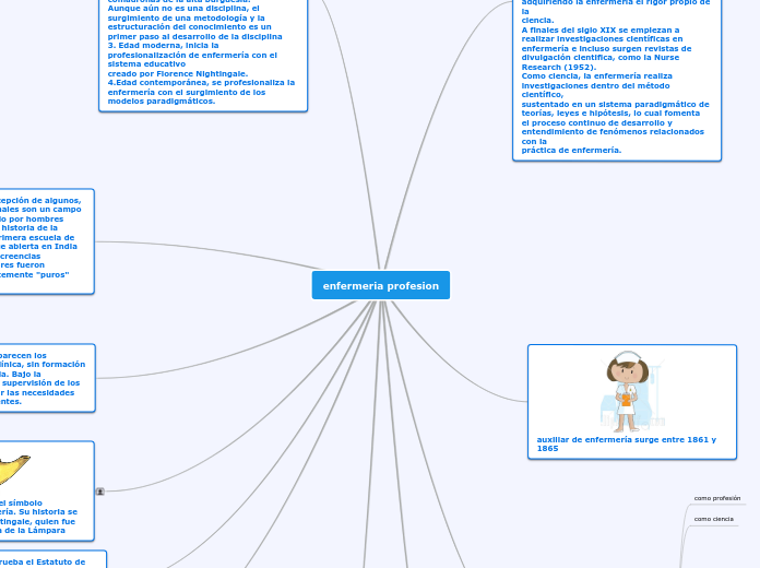 enfermeria profesion