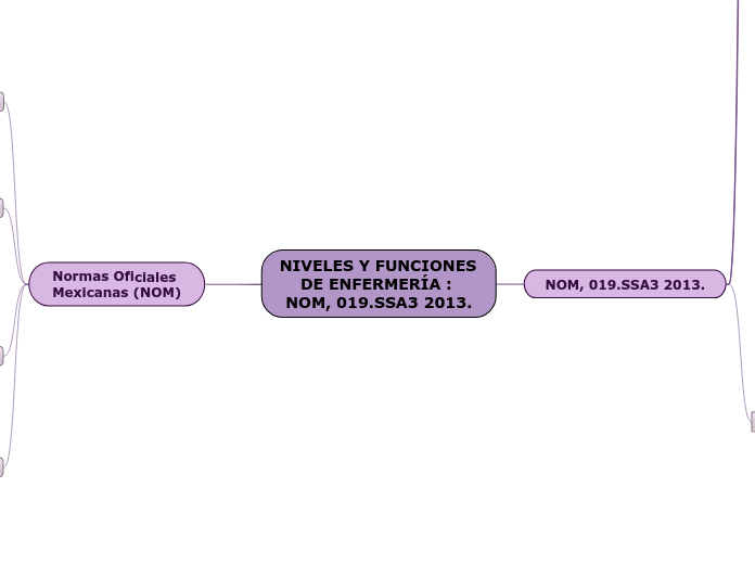 NIVELES Y FUNCIONES DE ENFERMERÍA : NOM, 019.SSA3 2013.