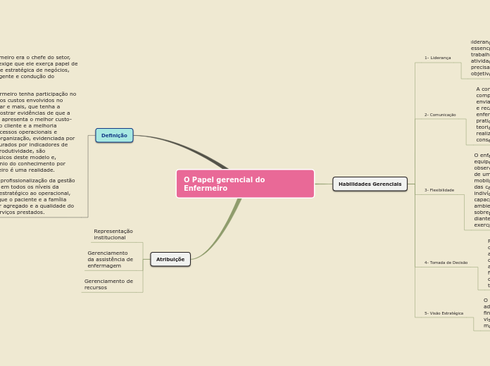 O Papel gerencial do Enfermeiro