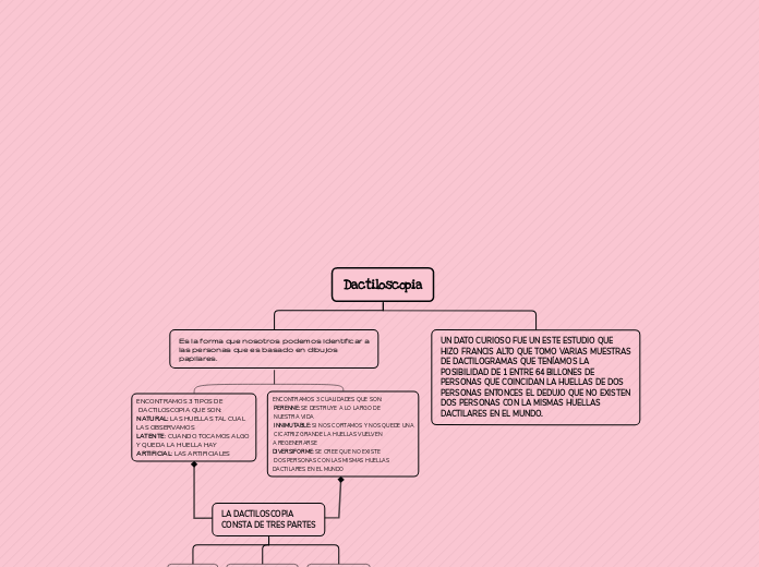 Organigrama arbol