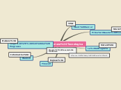 Sample Mind Map