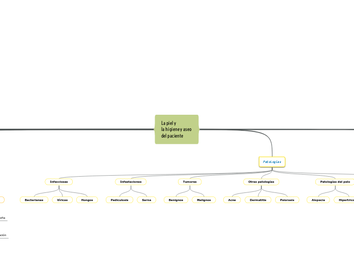 La piel y 
la higiene y aseo 
del paciente