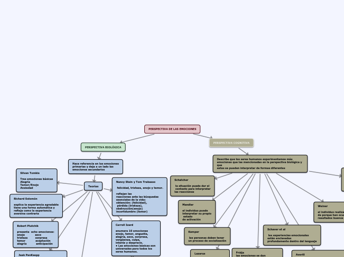 PERSPECTIVA DE LAS EMOCIONES
