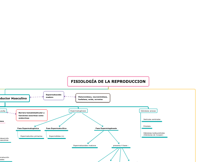 FISIOLOGÍA DE LA REPRODUCCION