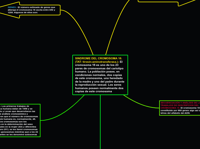 SINDROME DEL CROMOSOMA 16. (TAT: tirosín-aminotransferasa.)- El cromosoma 16 es uno de los 23 pares de cromosomas del cariotipo humano. La población posee, en condiciones normales, dos copias de este cromosoma, uno heredado de la madre y uno del padre d