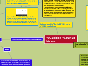 Ácidos Nucleicos.