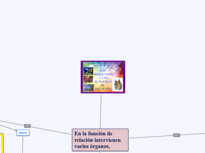 FUNCIONES DE RELACION