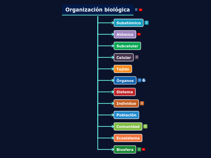 Organización biológica