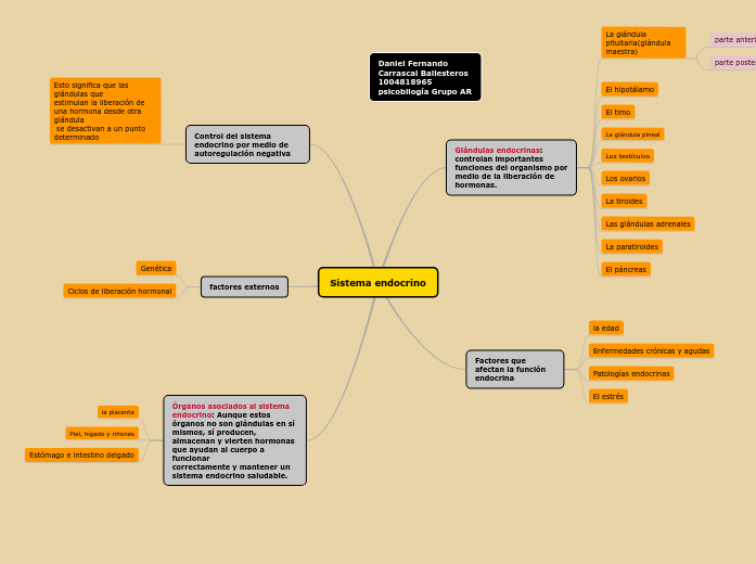 Sistema endocrino