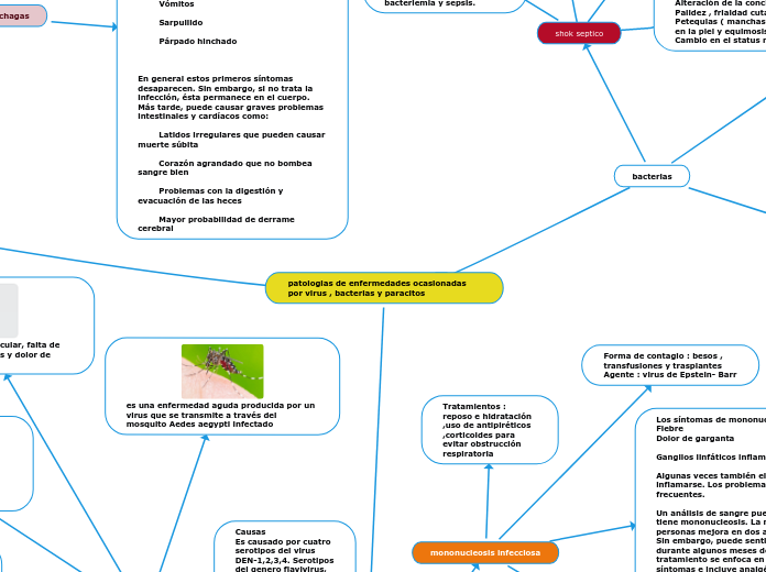 patologias de enfermedades ocasionadas por virus , bacterias y paracitos