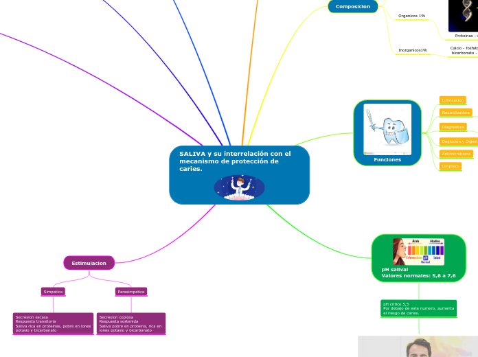 SALIVA y su interrelación con el mecanismo de protección de caries.
