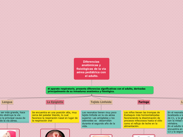 Diferencias 
anatómicas y 
fisiológicas de la vía 
aérea pediátrica con 
el adulto.