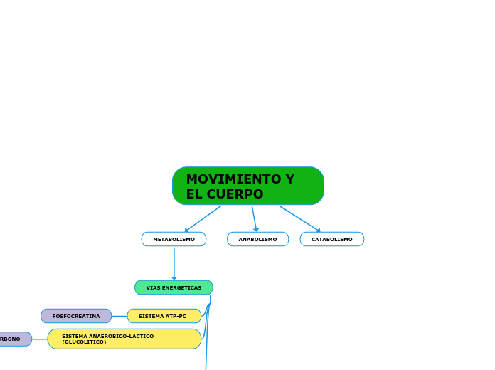 MOVIMIENTO Y EL CUERPO