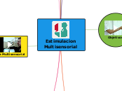 Estimulacion Multisensorial