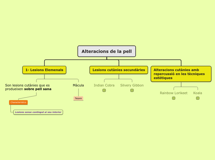 Alteracions de la pell