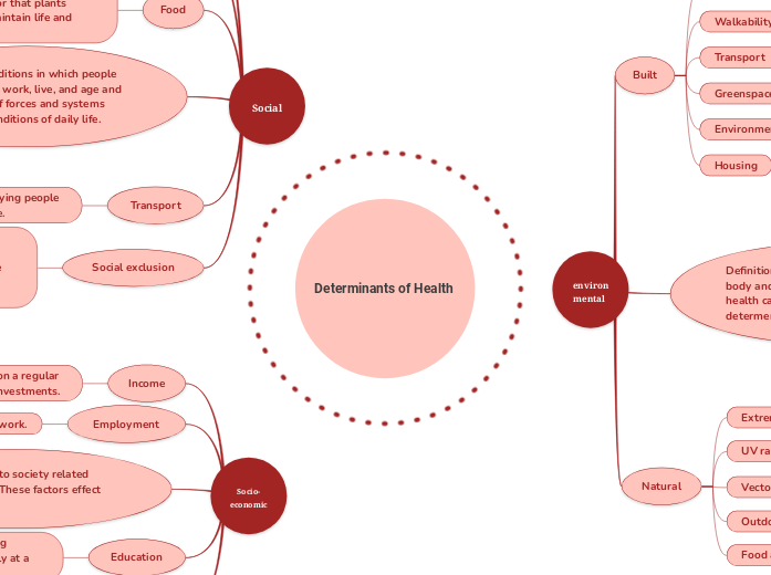 Mind map Assighment