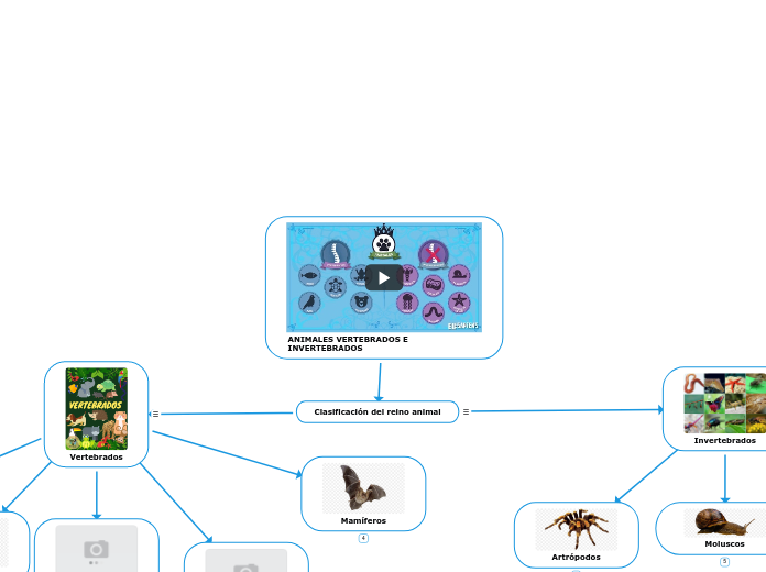 ANIMALES VERTEBRADOS E INVERTEBRADOS