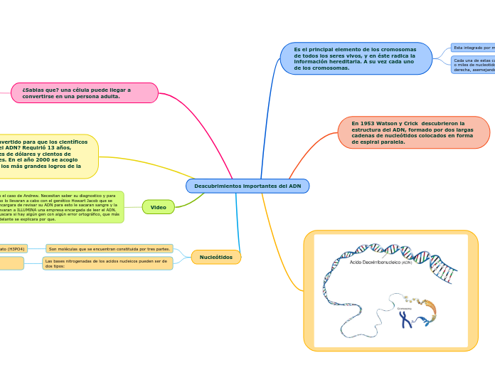 Descubrimientos importantes del ADN