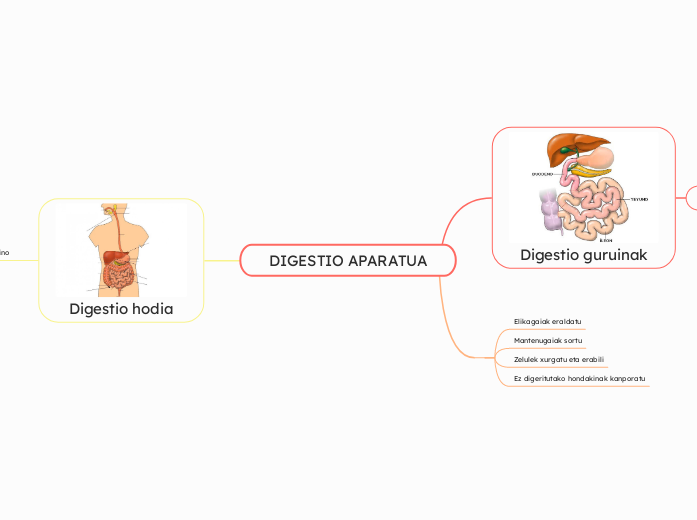 DIGESTIO APARATUA