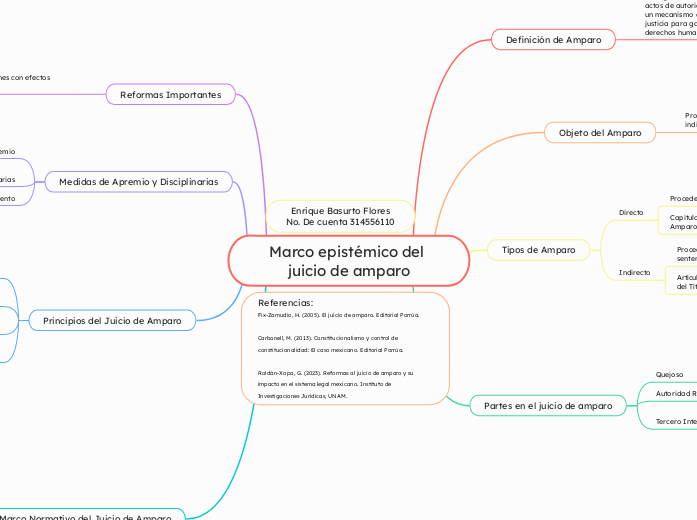 Marco epistémico del juicio de amparo