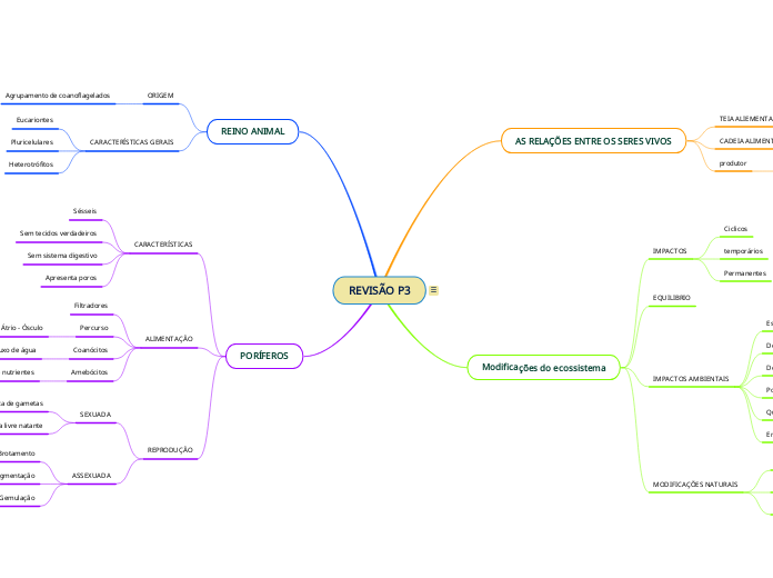 REVISÃO P3
