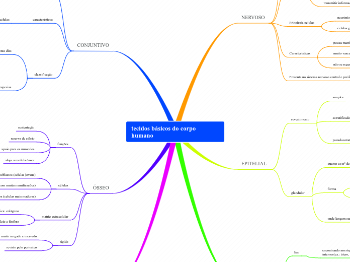 tecidos básicos do corpo humano