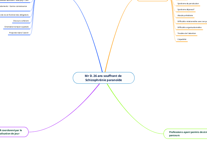 Mr D. 26 ans souffrant de Schizophrénie paranoïde