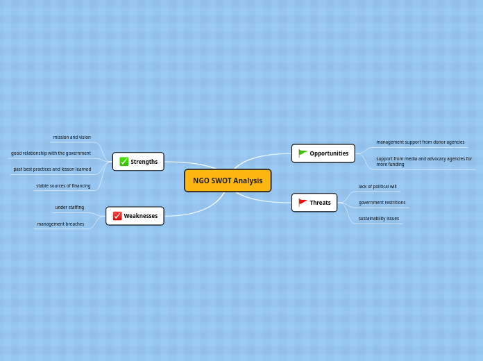 NGO SWOT Analysis