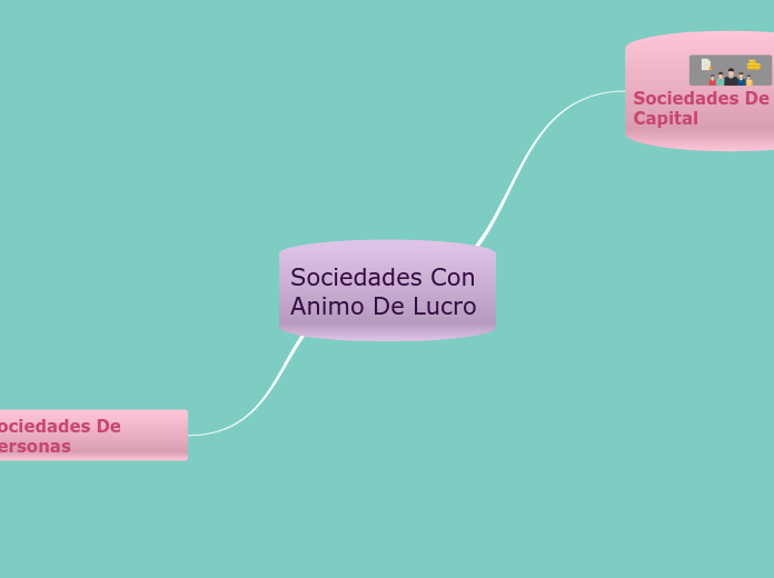 Sociedades Con Animo De Lucro